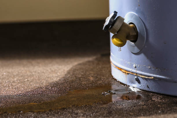 Best Water damage cleanup near me  in Bath, PA