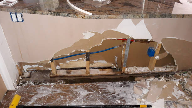 Best Carpet water damage restoration  in Bath, PA