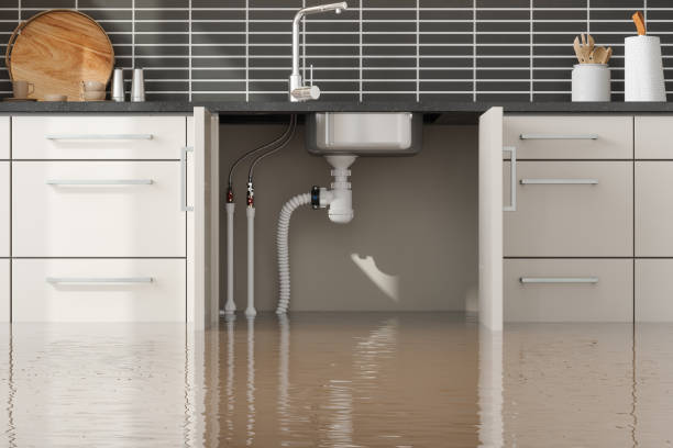 Best Local water damage restoration  in Bath, PA