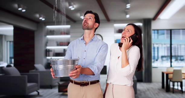 Best Flood restoration services  in Bath, PA
